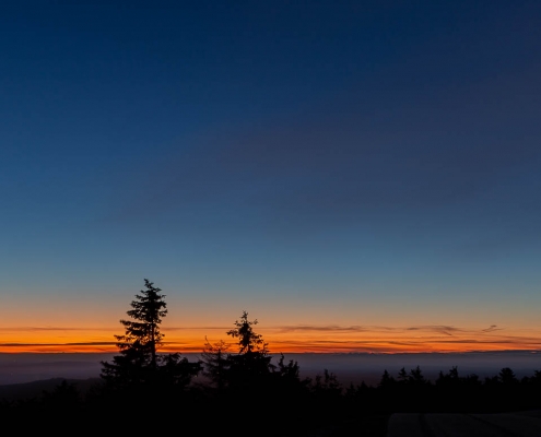 Blaue Stunde im Nationalpark Harz