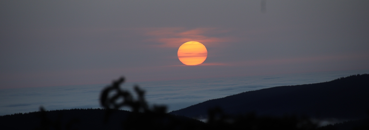 Fotoworkshop-Wochenende Harz-Winter © Corinna J