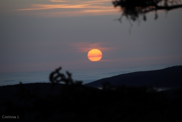 Fotoworkshop-Wochenende Harz-Winter © Corinna J