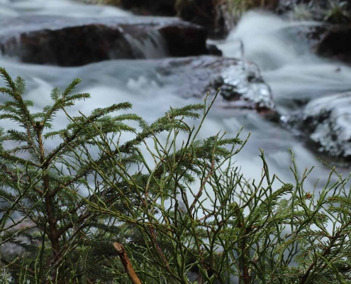 Fotoworkshop-Wochenende Harz-Winter © Corinna J
