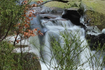 Fotoworkshop-Wochenende Harz-Winter © Corinna J