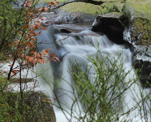 Fotoworkshop-Wochenende Harz-Winter © Corinna J