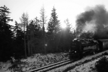 Fotoworkshop-Wochenende Harz-Winter © Corinna J