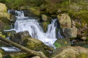 Fotoworkshop-Wochenende Harz-Winter © Ute M.