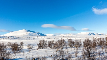 Dovrefjell-Sunndalsfjella-Nationalpark, Norwegen