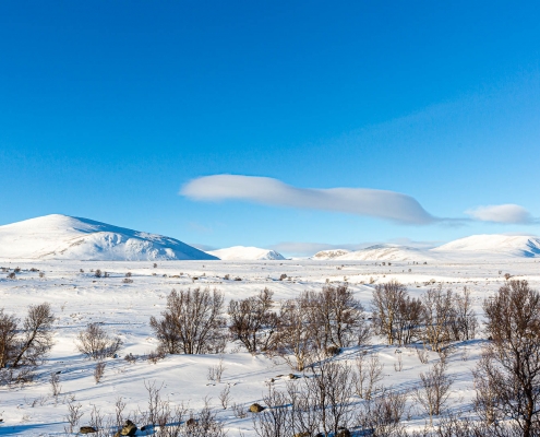 Dovrefjell-Sunndalsfjella-Nationalpark, Norwegen