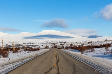 Dovrefjell-Sunndalsfjella-Nationalpark, Norwegen
