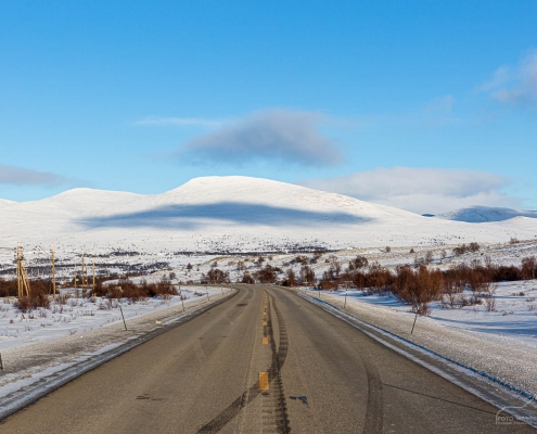 Dovrefjell-Sunndalsfjella-Nationalpark, Norwegen