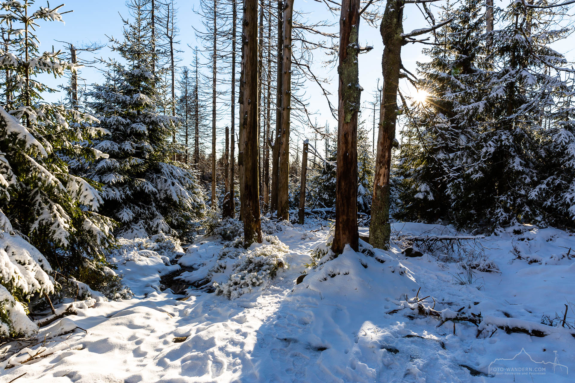 Fotokurs Sonnenuntergang auf dem Achtermann im Nationalpark Harz