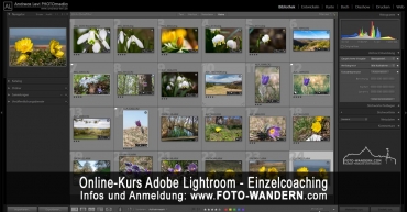 Online-Kurs Adobe Lightroom