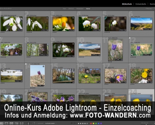 Online-Kurs Adobe Lightroom