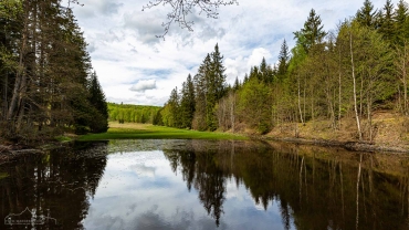 Fotokurs Grundlagen der Fotografie - Steinmühlental