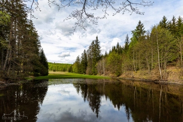 Helltalsteich im Naturpark Südharz