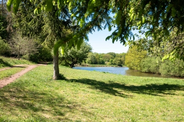 Rosenteich im Südharz