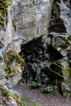 Fotokurs im Selketal