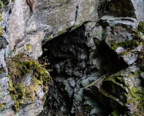 Fotokurs im Selketal