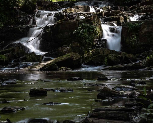 Fotokurs im Selketal