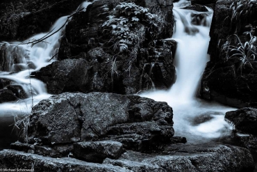 Fotokurs im Selketal