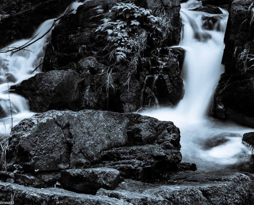 Fotokurs im Selketal