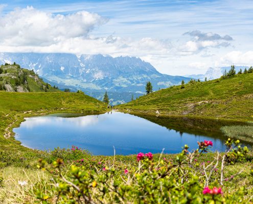 Fotokurse, Wandern und Fotoreisen im Spätsommer 2020