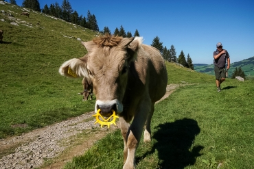 Fotowanderung im Appenzellerland