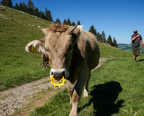 Fotowanderung im Appenzellerland