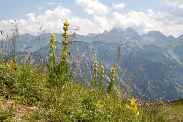 Fotokurs-Wanderwoche im Allgäu