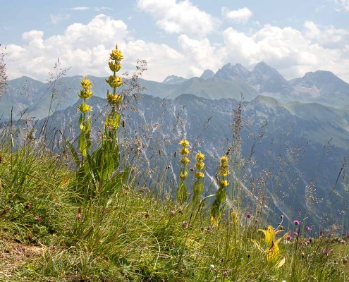 Fotokurs-Wanderwoche im Allgäu © Rudolf L. -IMG_4646 Fotokurs-Wanderwoche im Allgäu