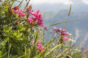 Fotokurs-Wanderwoche im Allgäu
