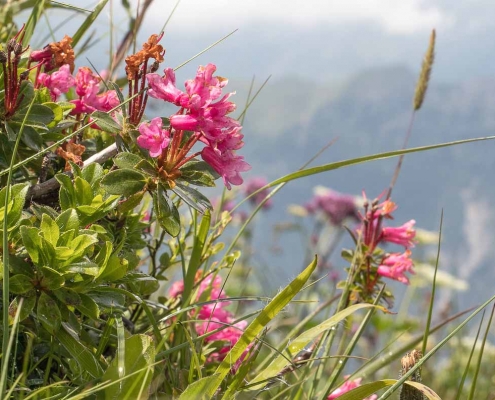 Fotokurs-Wanderwoche im Allgäu © Rudolf L. -IMG_4684 Fotokurs-Wanderwoche im Allgäu