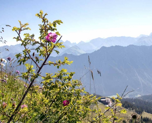 Fotokurs-Wanderwoche im Allgäu © Rudolf L. -IMG_5250a Fotokurs-Wanderwoche im Allgäu
