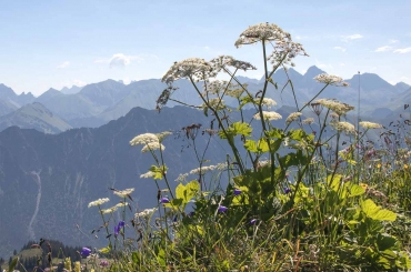 Fotokurs-Wanderwoche im Allgäu