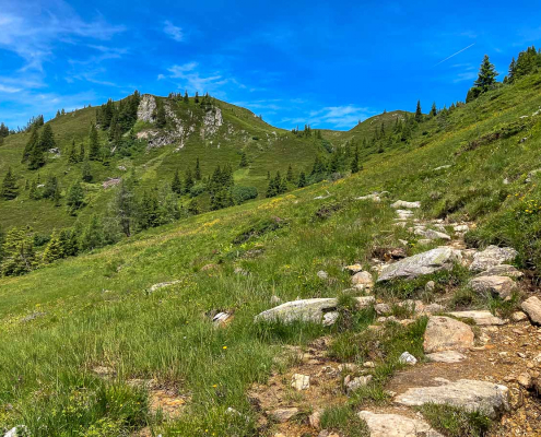 Fotoreise Hohe Tauern © Andreas Levi - Foto-Wandern.com - IMG_0144