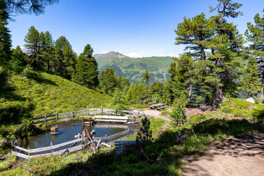 Graukogel und Zirbenweg - Fotoreise Hohe Tauern