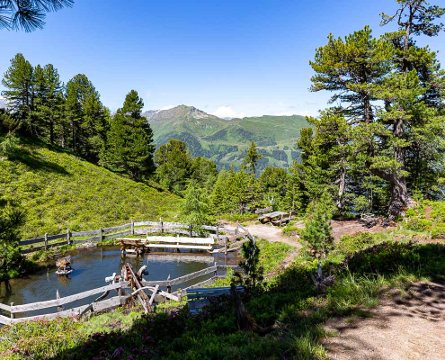 Graukogel und Zirbenweg - Fotoreise Hohe Tauern