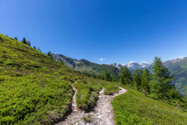 Graukogel und Zirbenweg - Fotoreise Hohe Tauern