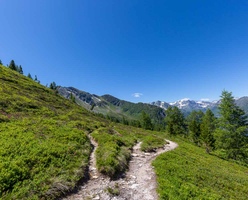 Graukogel und Zirbenweg - Fotoreise Hohe Tauern