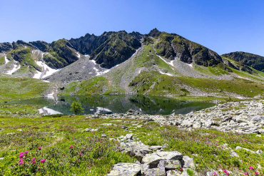 Graukogel und Zirbenweg - Fotoreise Hohe Tauern