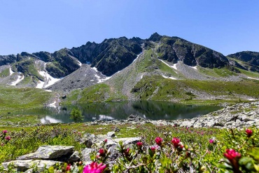 Graukogel und Zirbenweg - Fotoreise Hohe Tauern