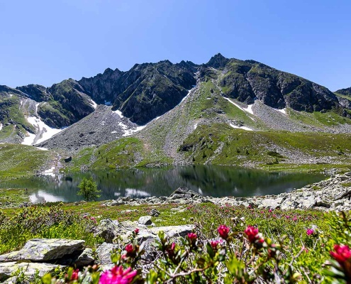 Graukogel und Zirbenweg - Fotoreise Hohe Tauern