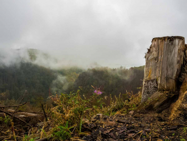 Fotokurs Landschaftsfotografie im Ilsetal © Tilman R.