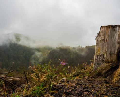 Fotokurs Landschaftsfotografie im Ilsetal © Tilman R.