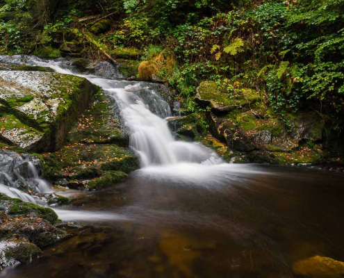 Fotokurs Landschaftsfotografie im Ilsetal © Tilman R. -2