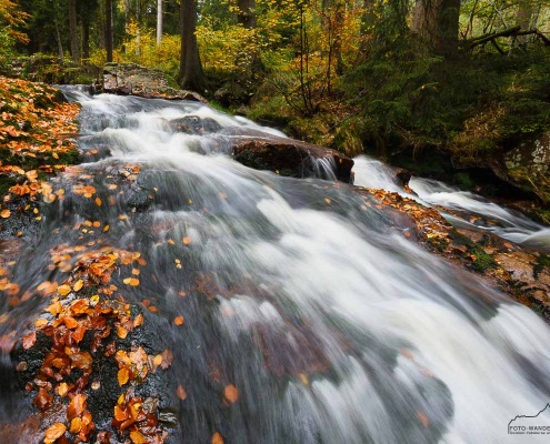 Fotokurs als Einzelcoaching im Harz