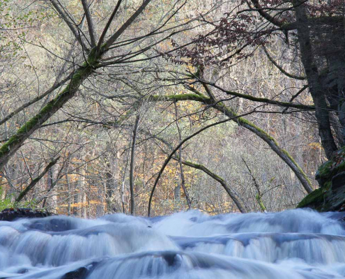 Fotokurs im Selketal