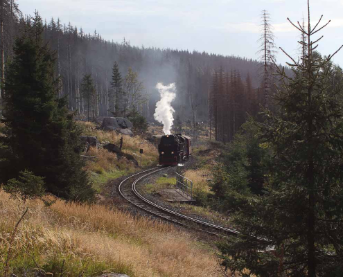 Fotokurs als Einzelcoaching mit Wanderung auf den Brocken