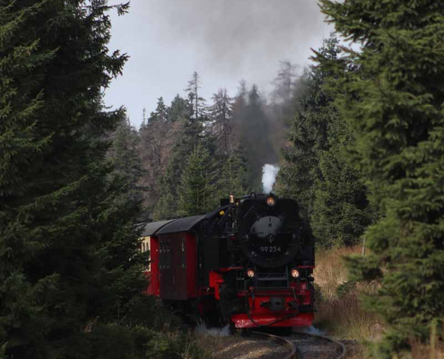 Fotokurs als Einzelcoaching mit Wanderung auf den Brocken