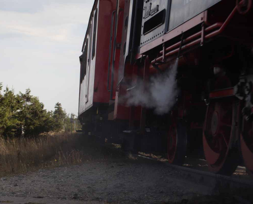 Fotokurs als Einzelcoaching mit Wanderung auf den Brocken