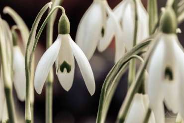 Wanderungen und Fotokurse im Frühjahr mit Foto-Wandern.com