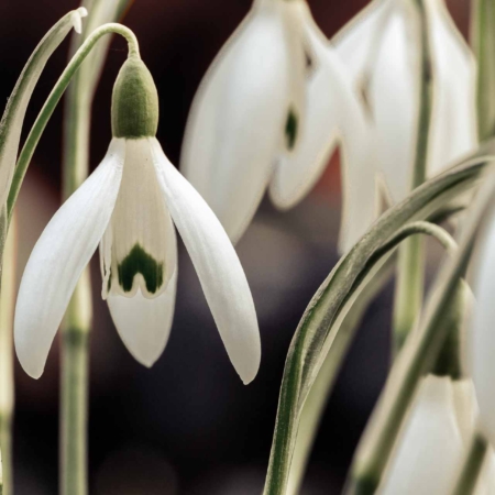 Wanderungen und Fotokurse im Frühjahr mit Foto-Wandern.com